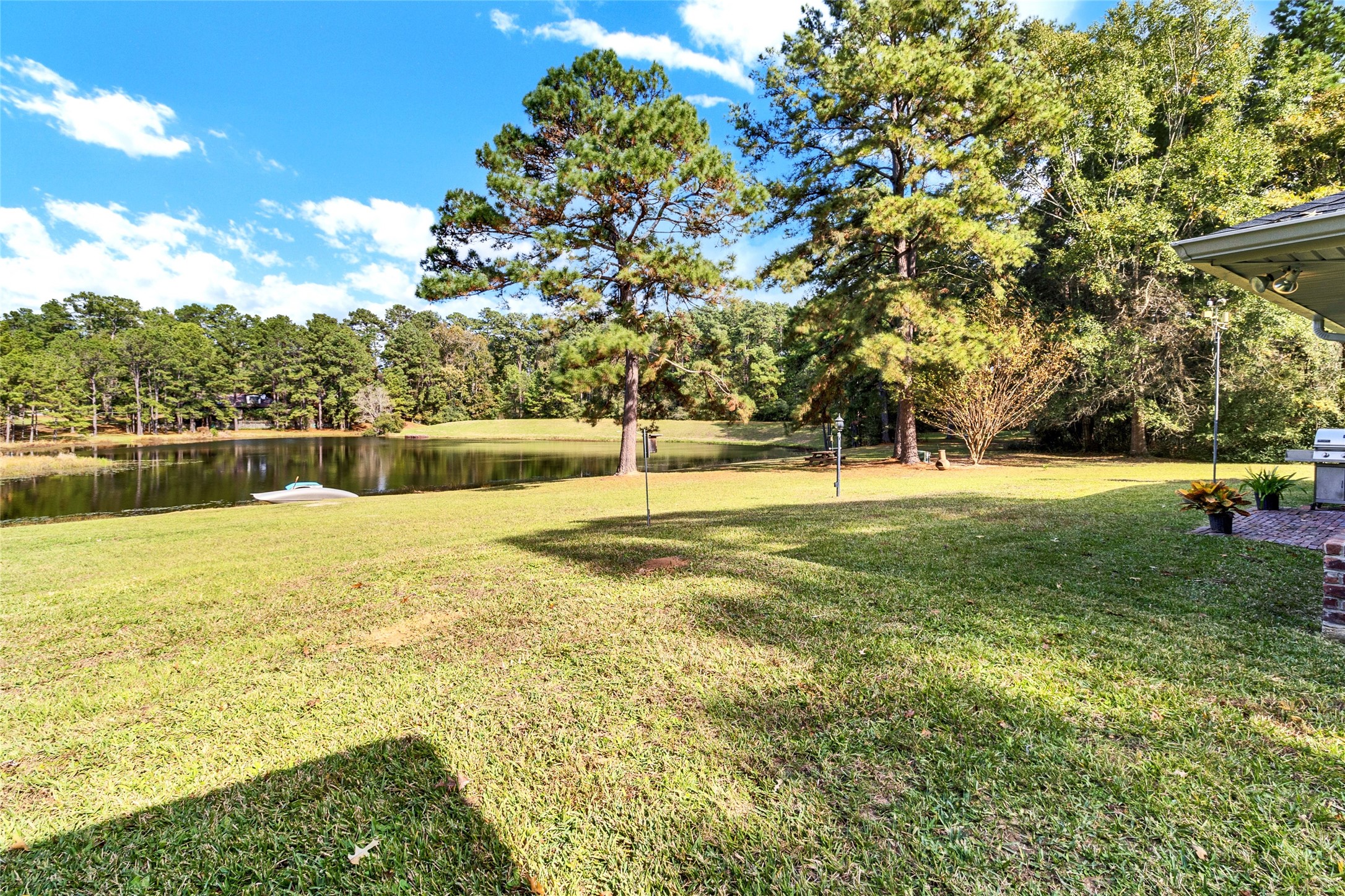 184 Birch Trinity, TX 75862 - Photo 4 of 50 Magnificent Back and Side Yards - LOTS of Privacy and Serenity