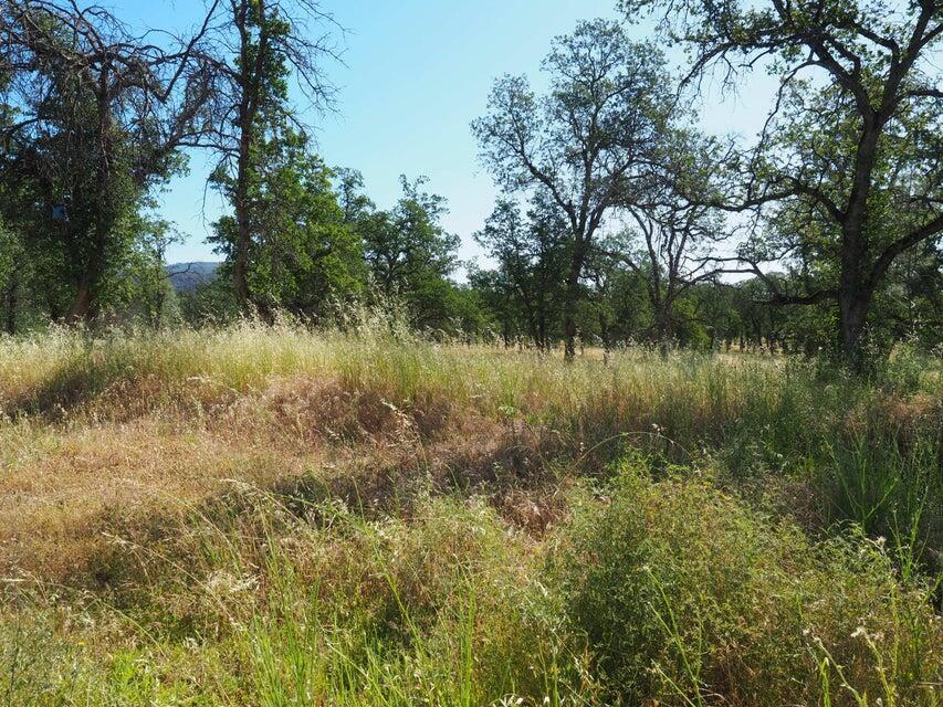 20103 Parocast Road Redding, CA 96003 - Photo 20 of 24 20260519214638123487000000-o