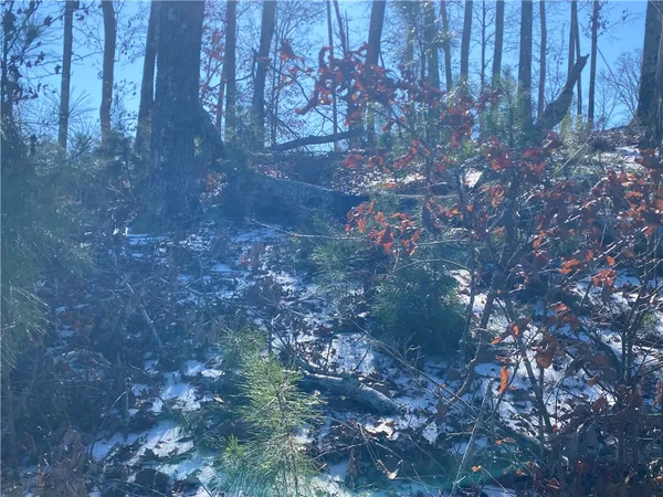 $125,000 | 38 Waterside Point, Abbeville, SC 29620