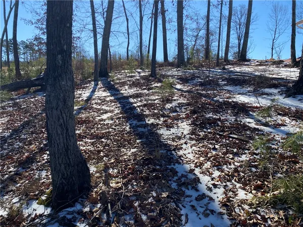 $125,000 | 38 Waterside Point, Abbeville, SC 29620