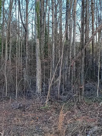 $79,000 | 537 Harvest Valley Court, Spartanburg, SC 29303