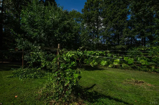 a view of an house with backyard space and garden