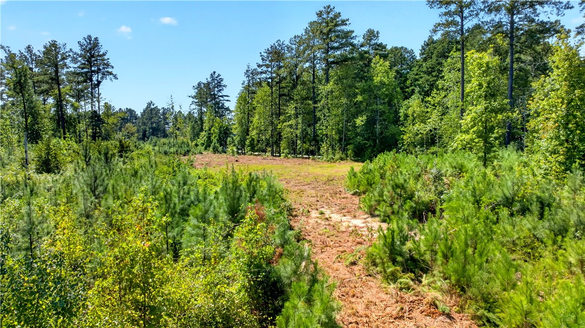 Lot 6 Coffee Road Walhalla, SC 29691 - Photo 17 of 22 Gallery Image 17