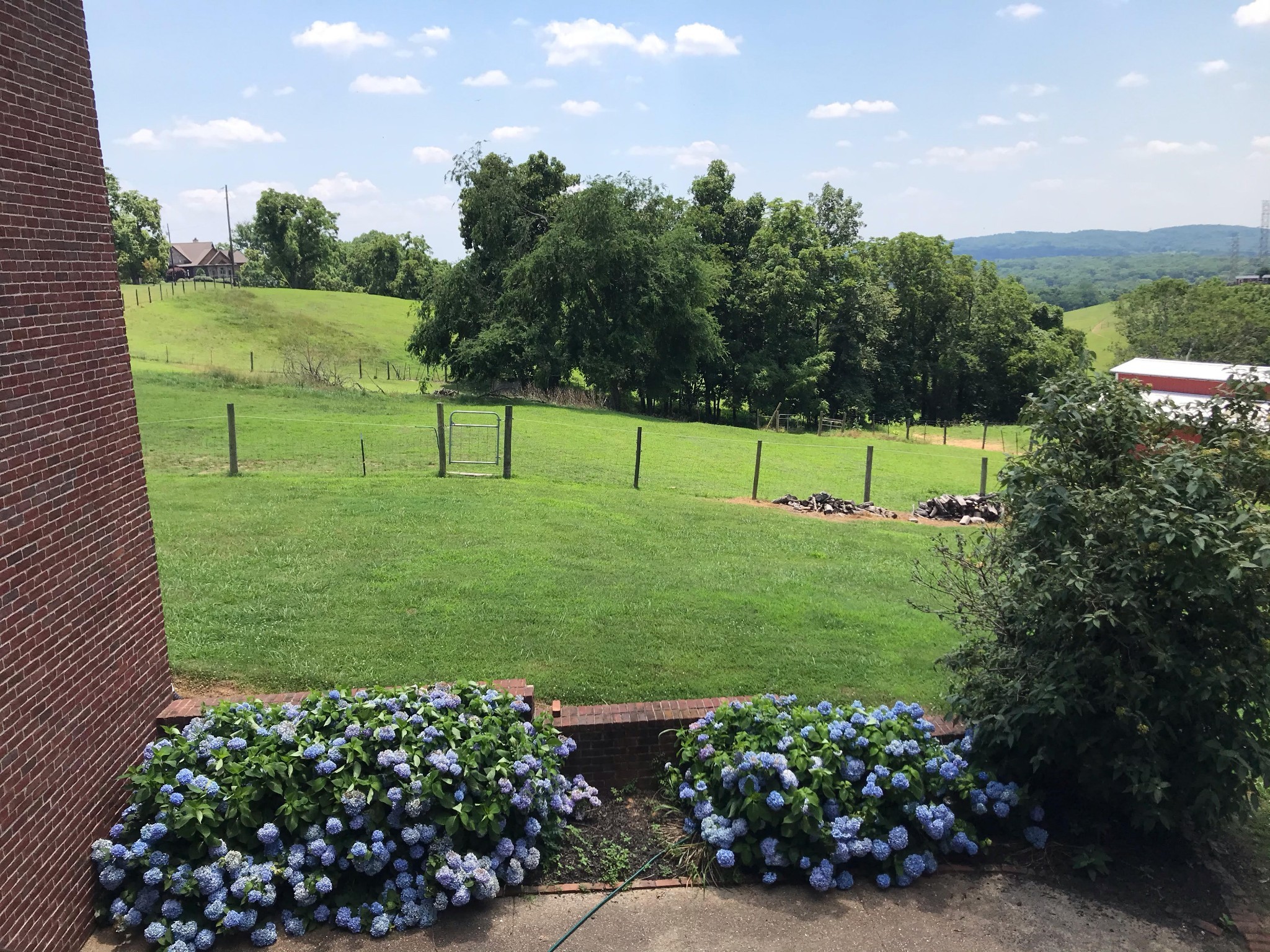 1298 Berea Church Road Lebanon, TN 37087 - Photo 1 of 50 a view of a garden