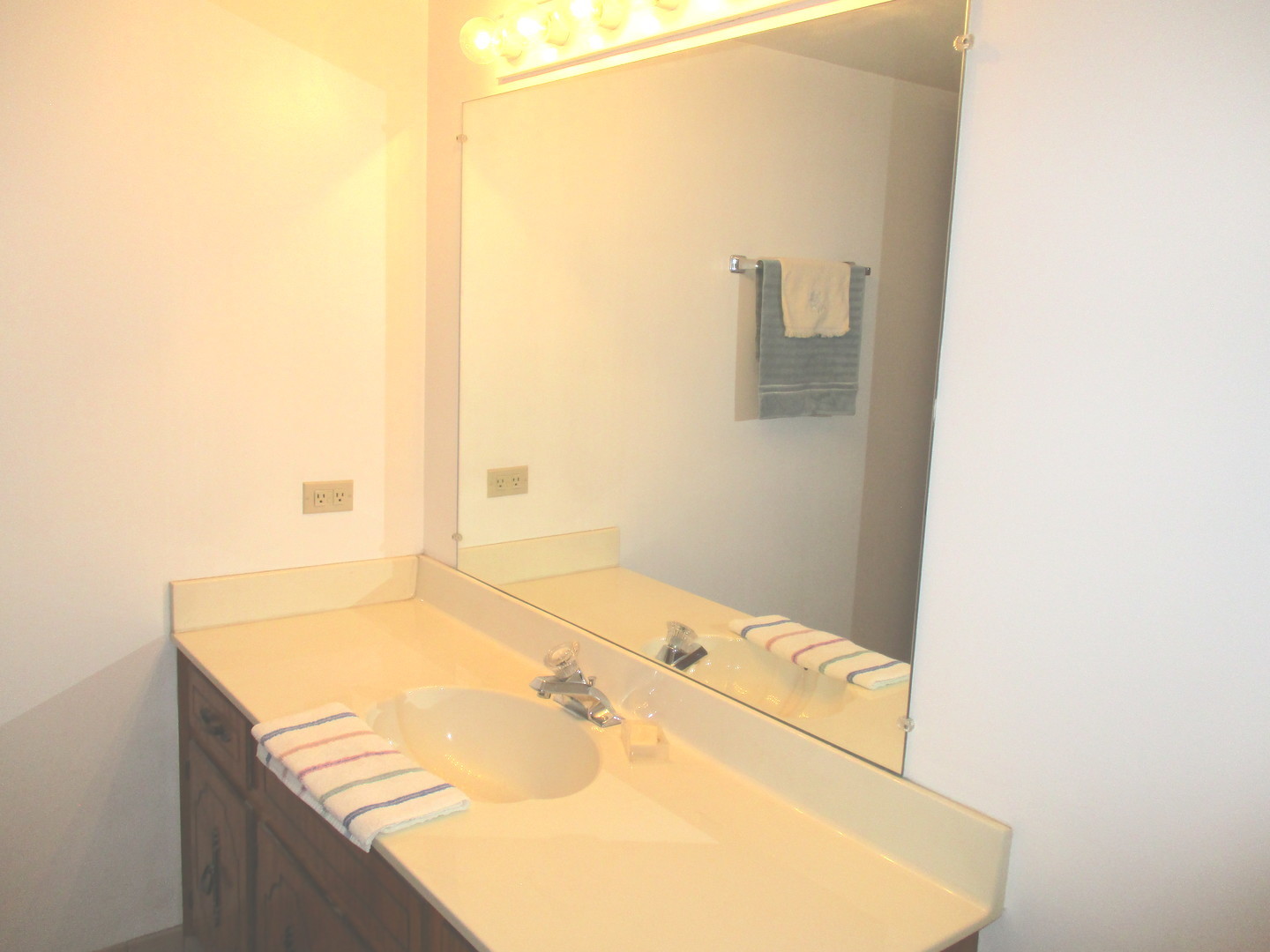 10532 Ridge Cove Drive, Unit 27A Chicago Ridge, IL 60415 - Photo 11 of 15 view of bathroom with bathtub
