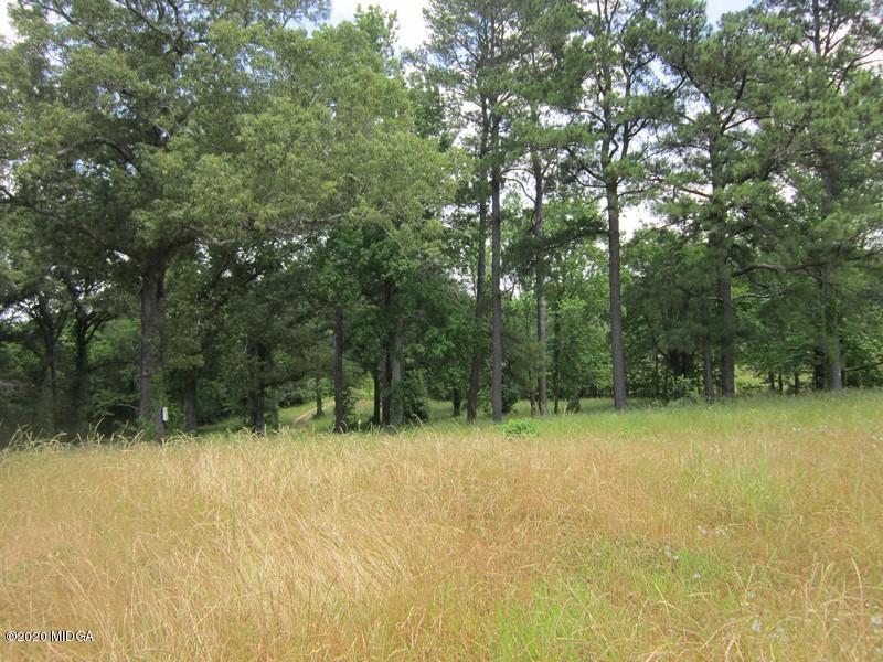 2461 Marion-Ripley Road Dry Branch, GA 31020 - Photo 16 of 21 IMG_3746