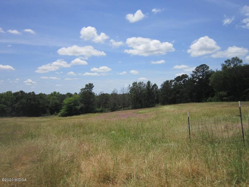 2461 Marion-Ripley Road Dry Branch, GA 31020 - Photo 19 of 21 IMG_3767