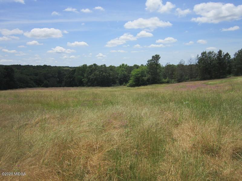 2461 Marion-Ripley Road Dry Branch, GA 31020 - Photo 20 of 21 IMG_3769