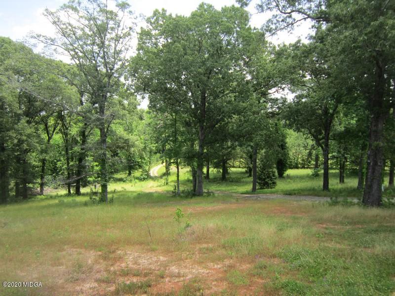 2461 Marion-Ripley Road Dry Branch, GA 31020 - Photo 8 of 21 IMG_3720