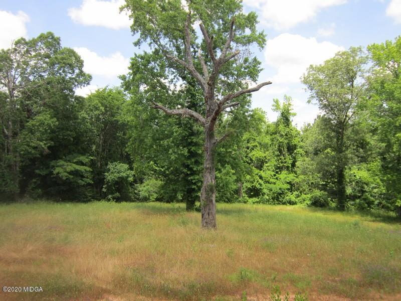 2461 Marion-Ripley Road Dry Branch, GA 31020 - Photo 9 of 21 IMG_3721
