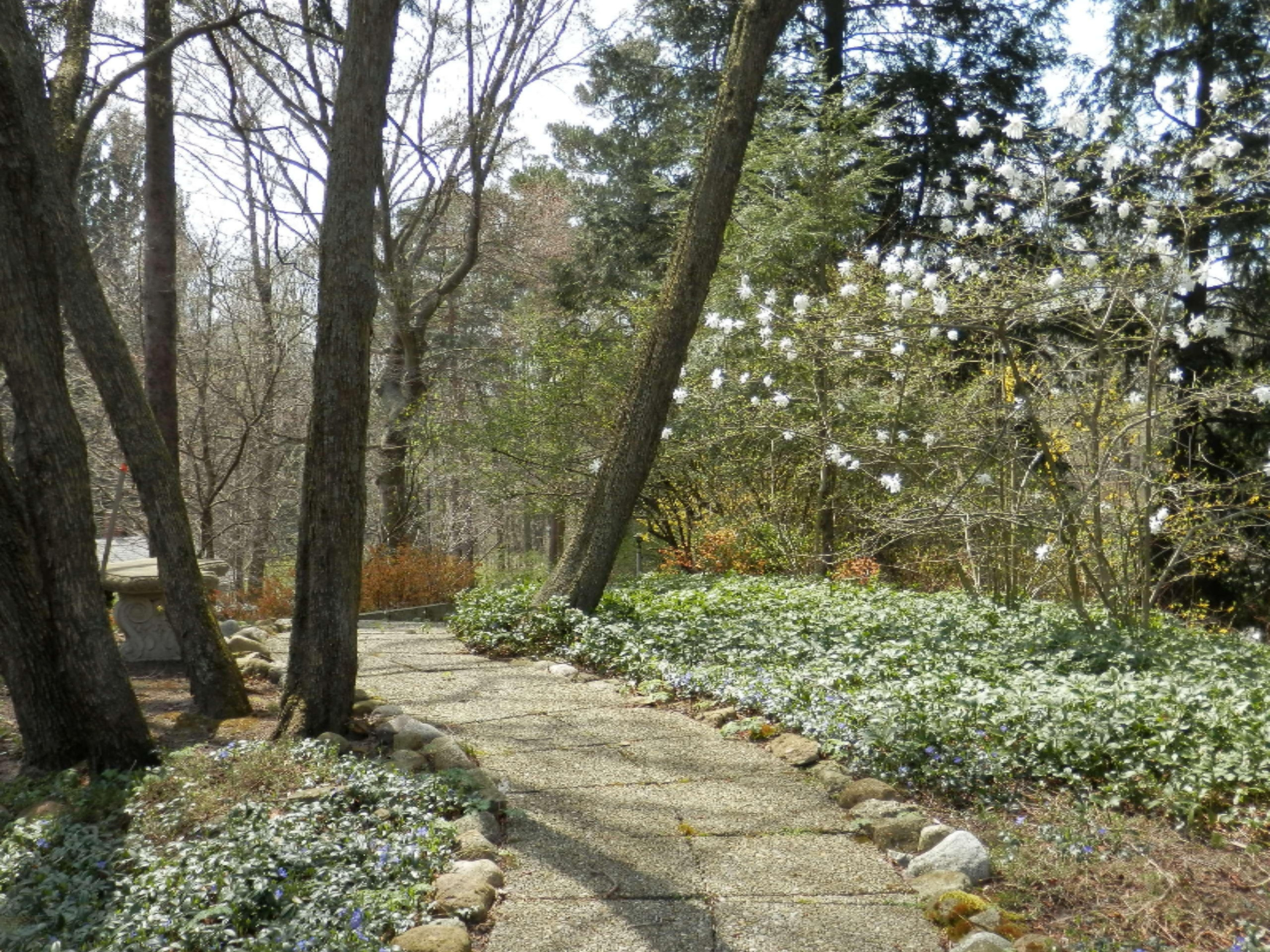 Path to driveway