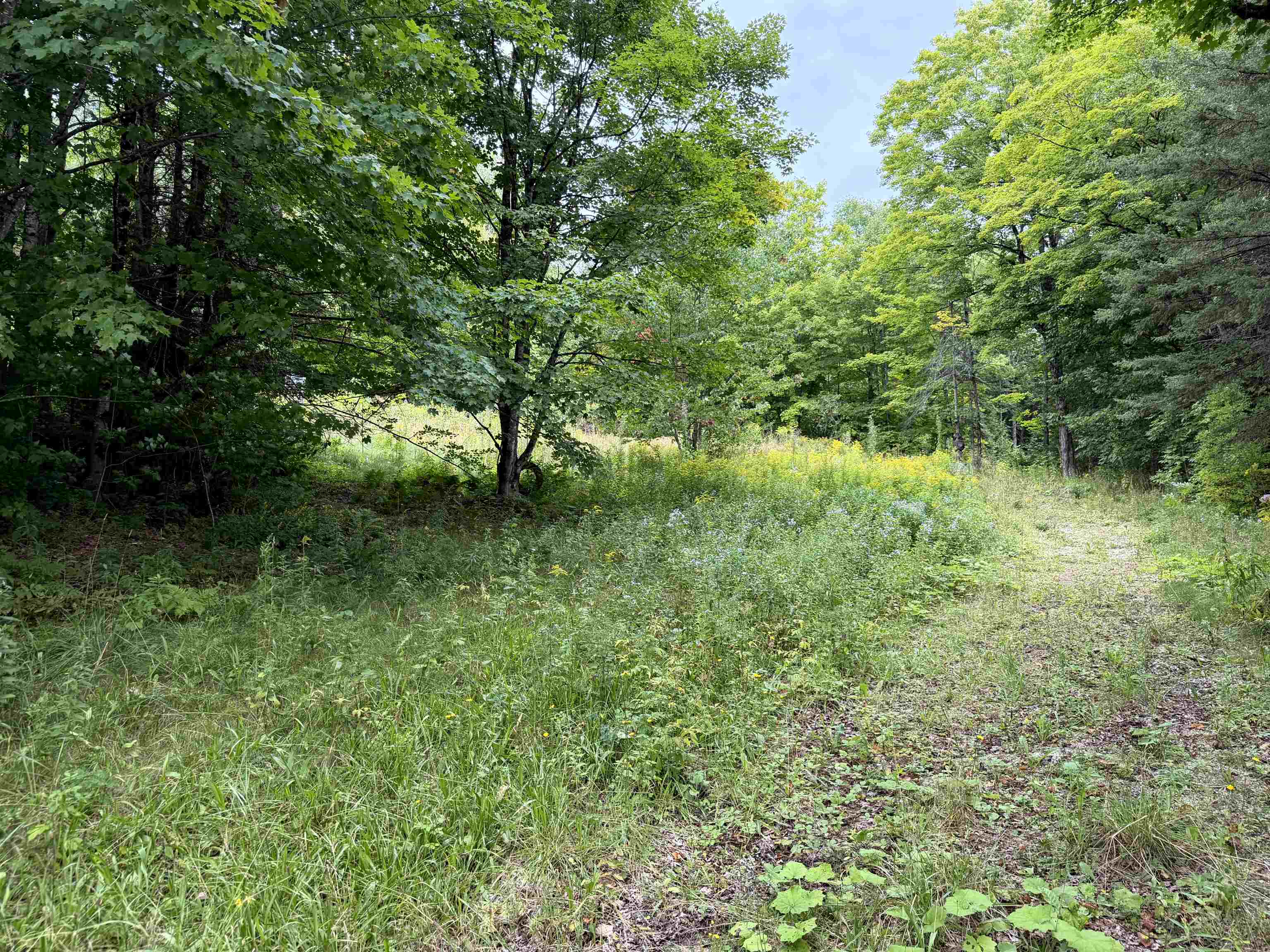4716 Highway 5 Sutton, VT 05867 - Photo 1 of 21 Gallery Image 1