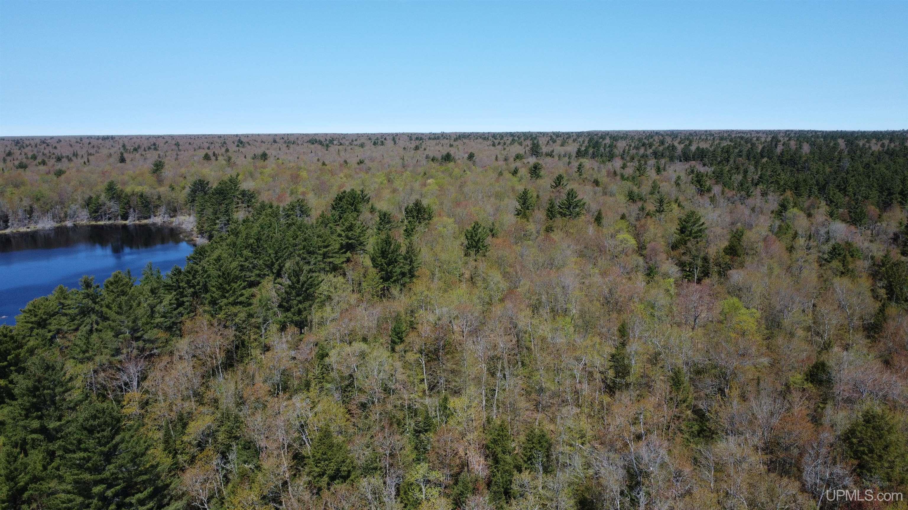 Off Adams Trail Shingleton, MI 49884 - Photo 36 of 46