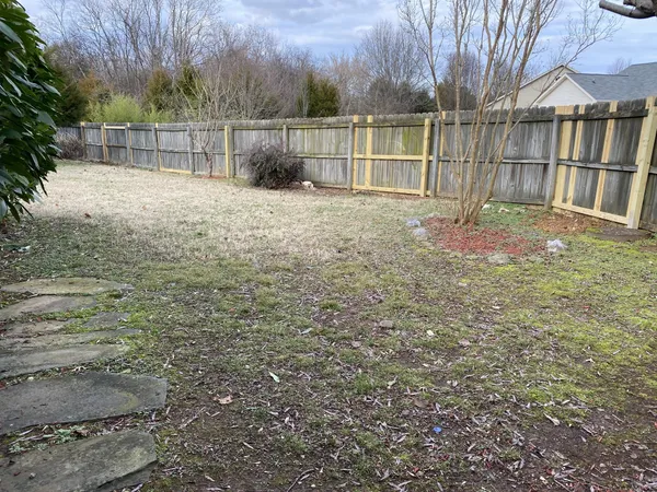 a view of backyard with small cabin