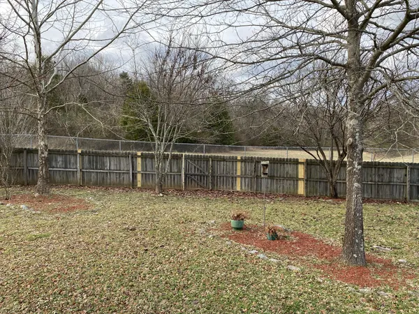 a backyard of a house with lots of green space