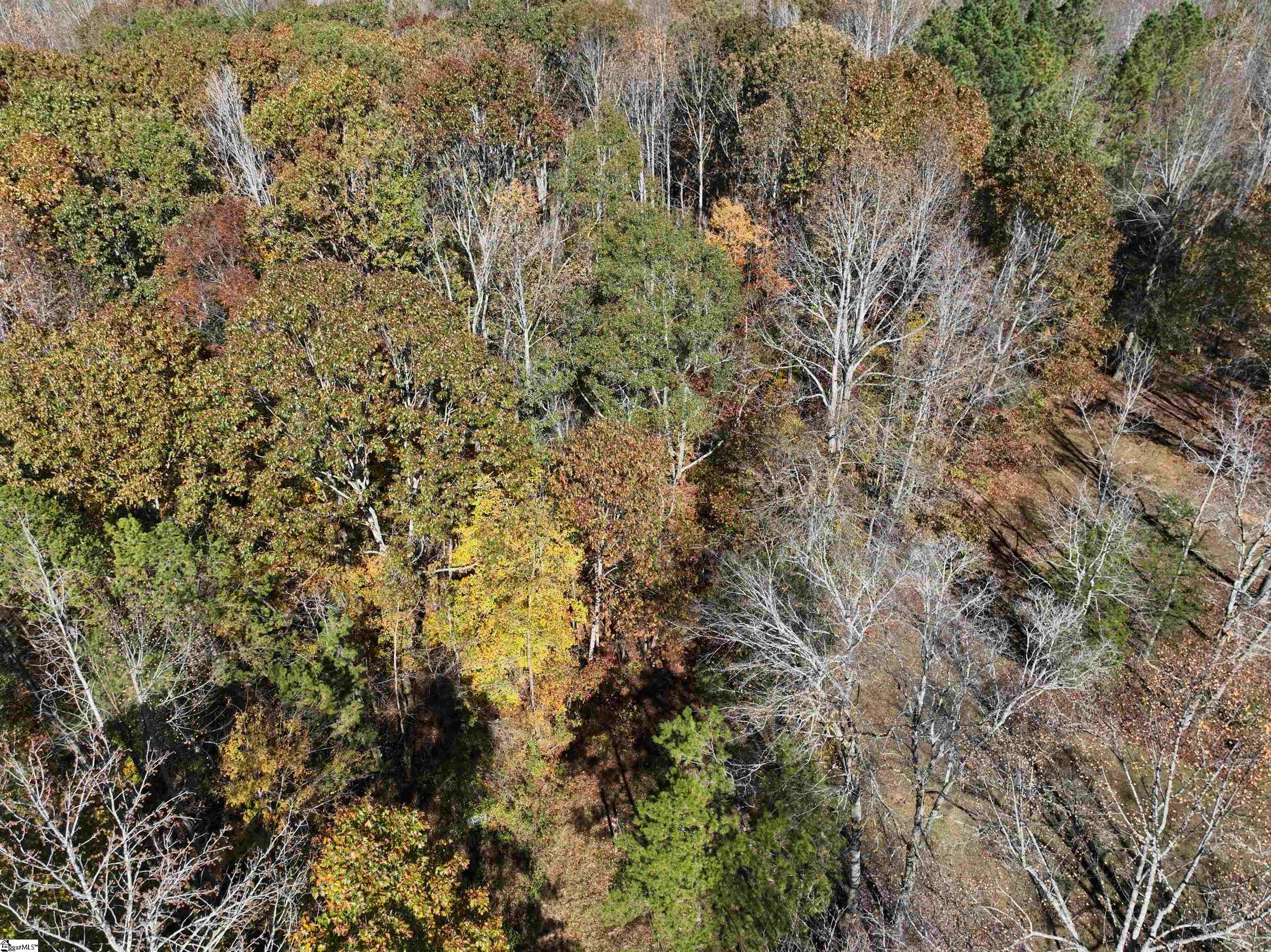 5 Sullivan Road Laurens, SC 29360 - Photo 6 of 8