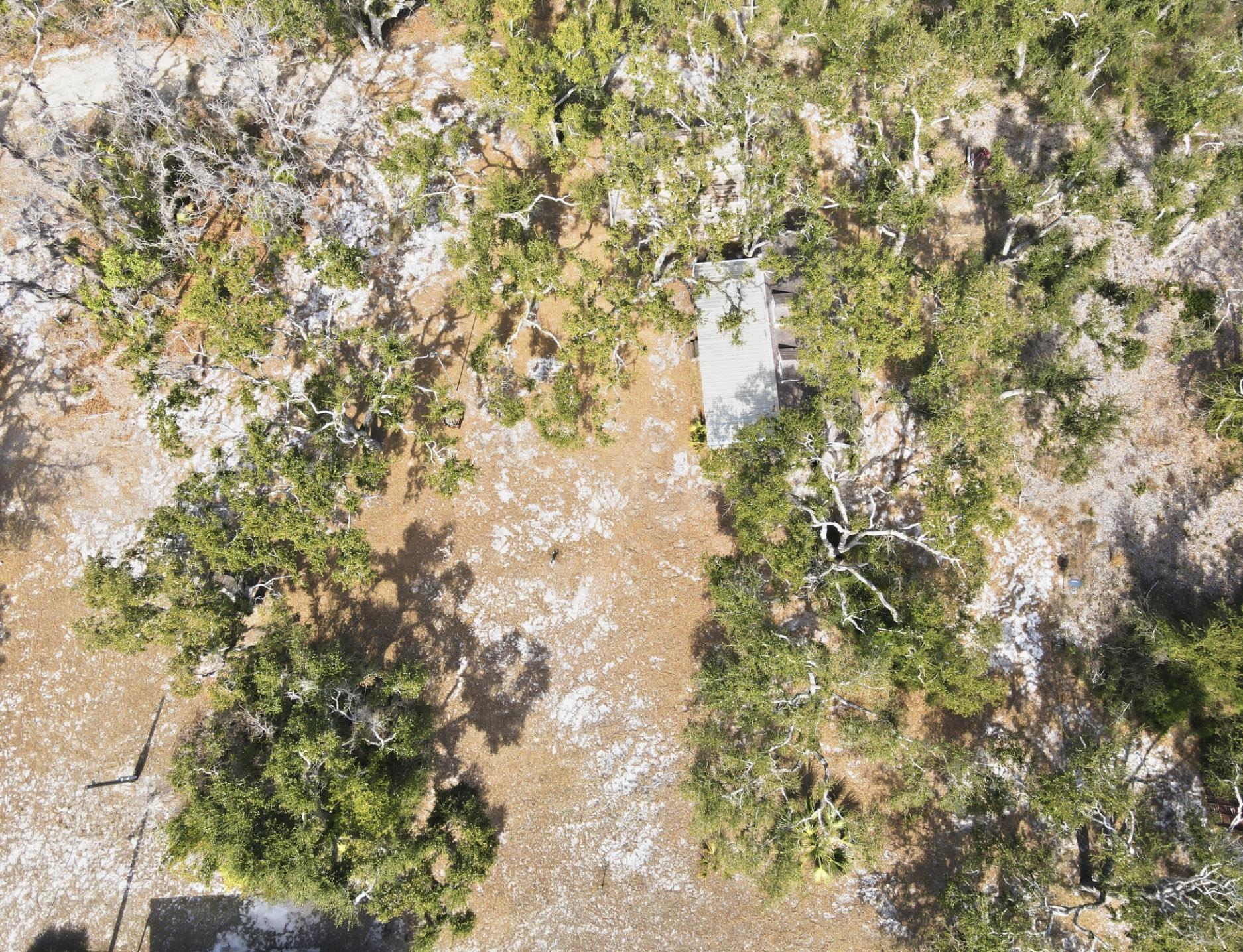 15942 Shell Drive Perry, FL 32348 - Photo 23 of 34