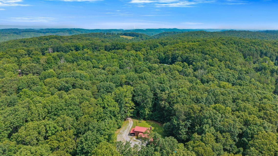 63 County Road 100 Decatur, TN 37322 - Photo 16 of 46 Gallery Image 16