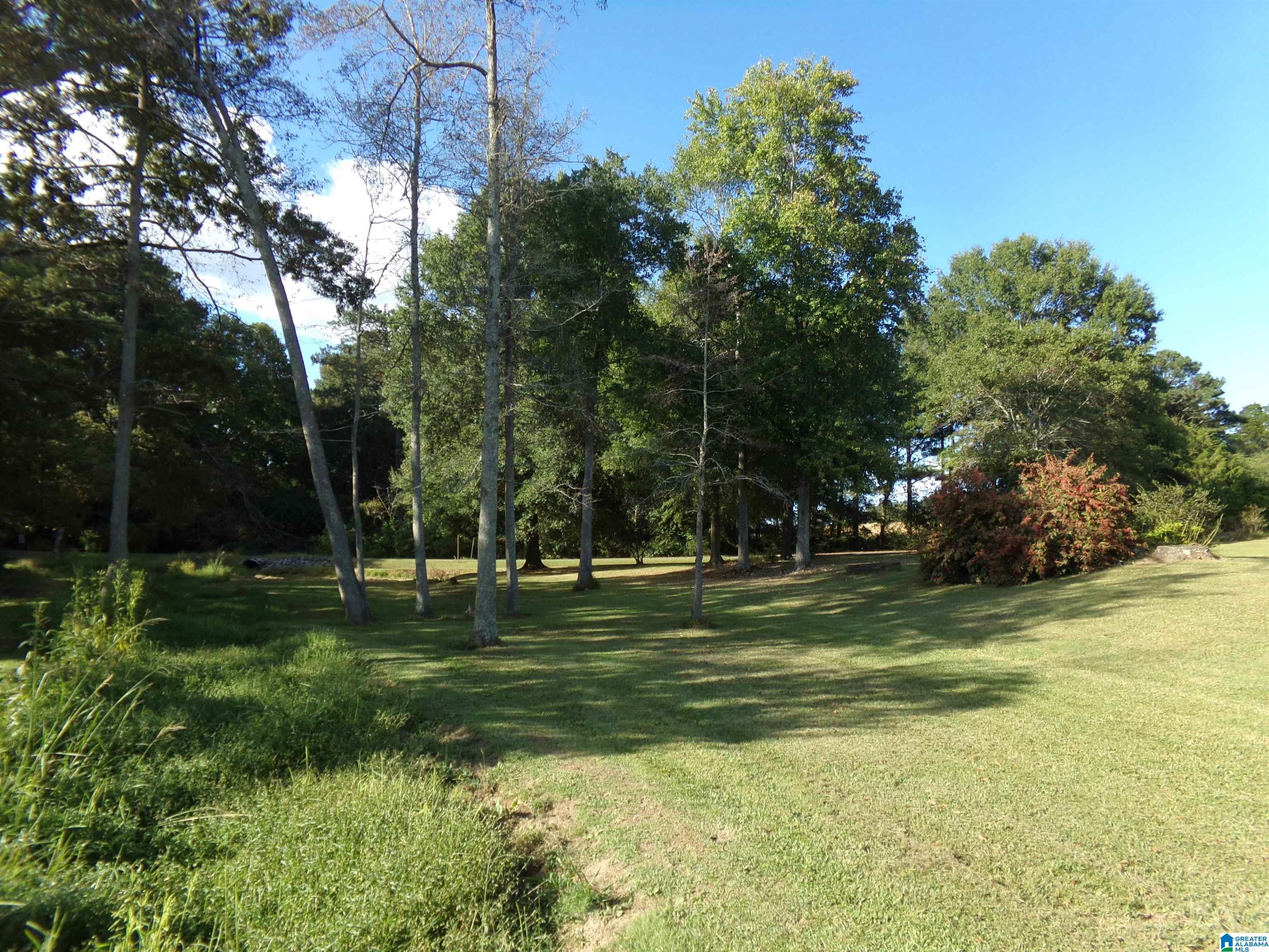 1035 Union Grove Road North Crossville, AL 35962 - Photo 16 of 99