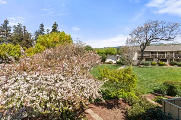 a garden with trees in the background