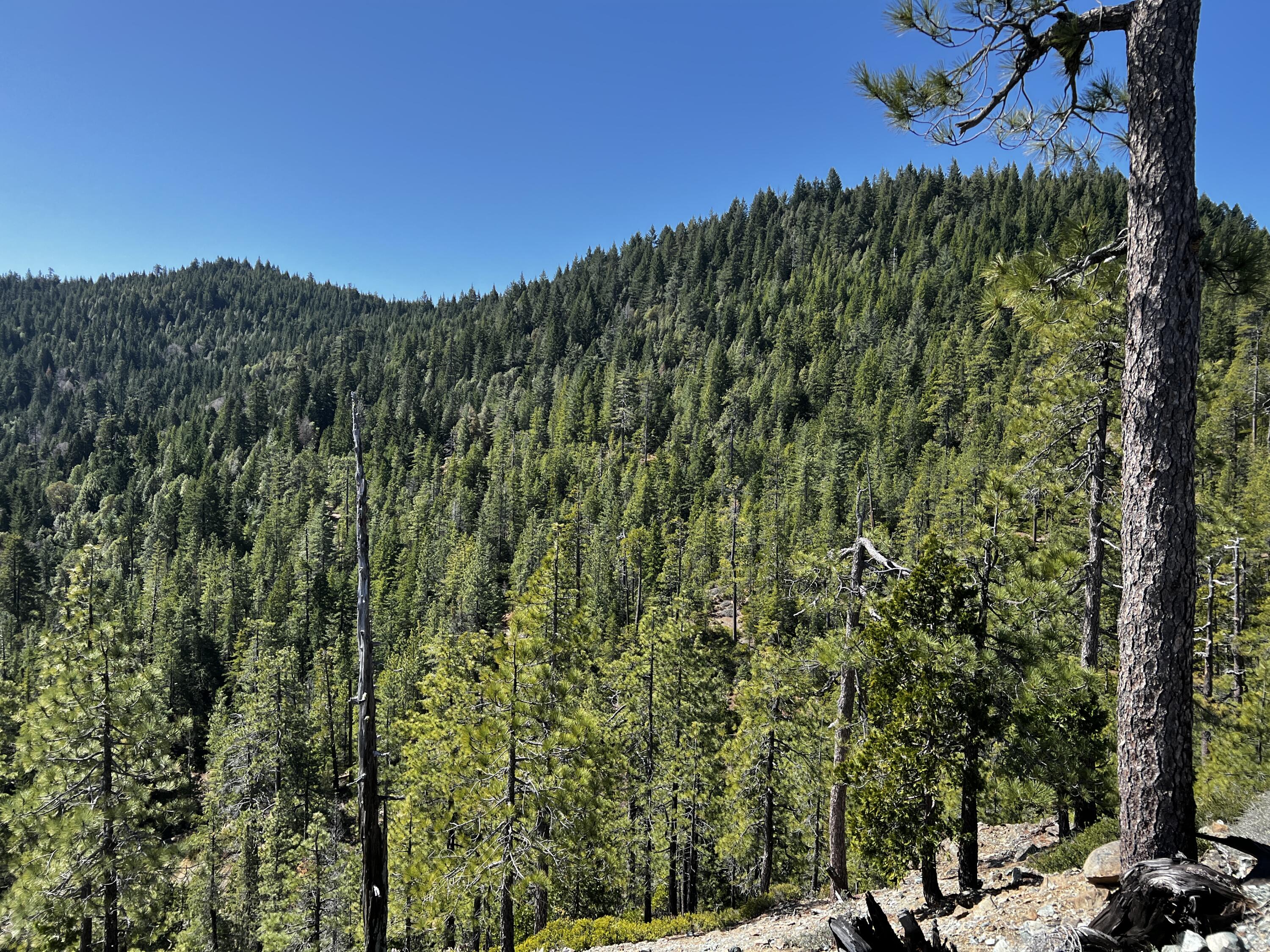 Three New 3 Creeks Road Blue Lake, CA 95525 - Photo 14 of 23