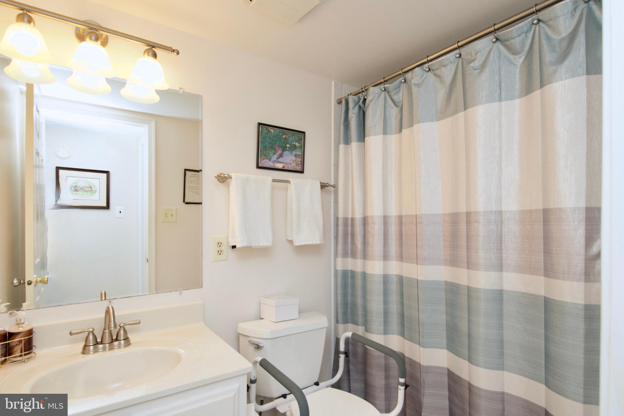 6690 Old Blacksmith Drive Burke, VA 22015 - Photo 41 of 46 a bathroom with a sink a toilet and shower curtain