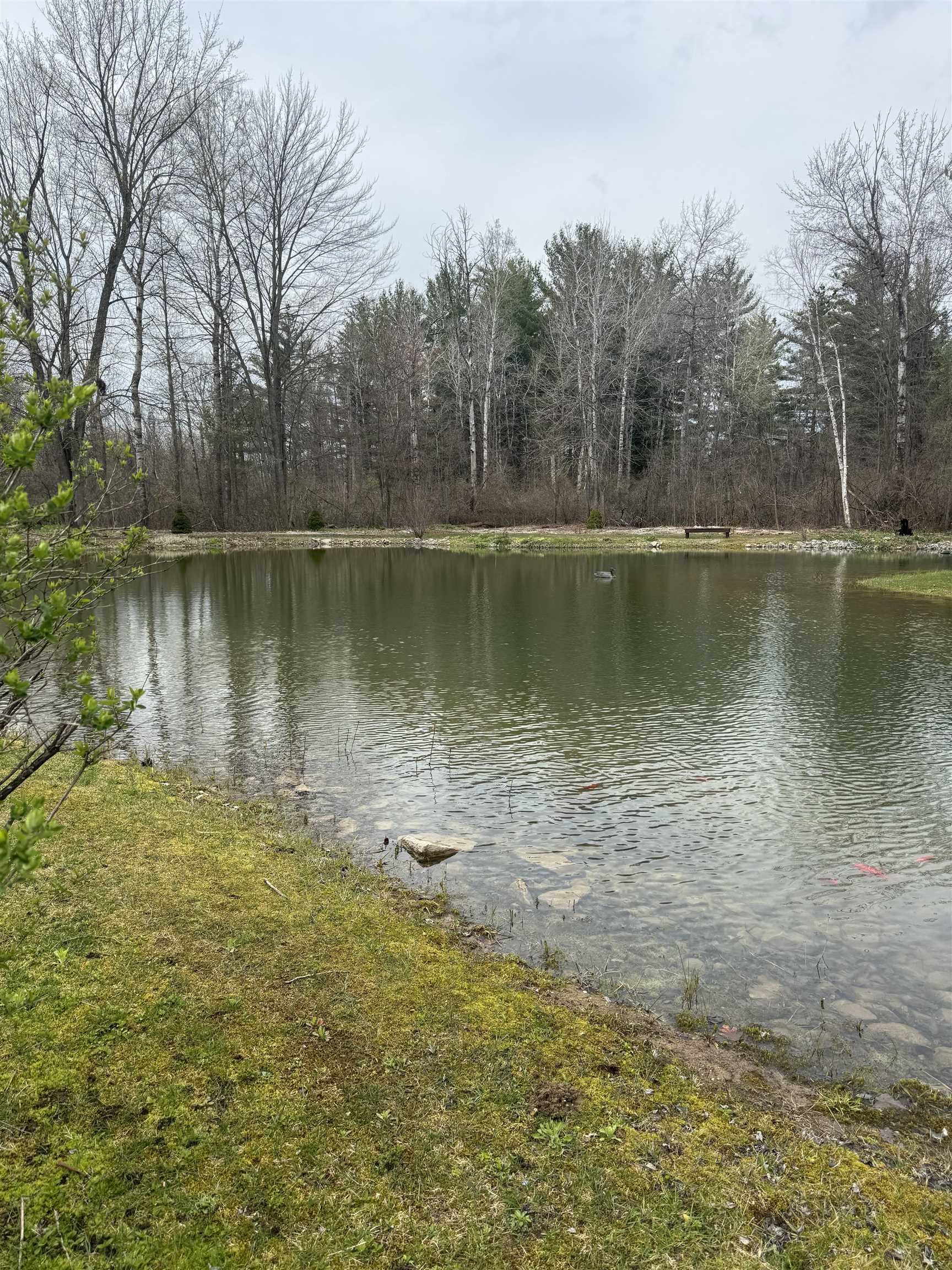2438 Long Road Beaverton, MI 48612 - Photo 31 of 31