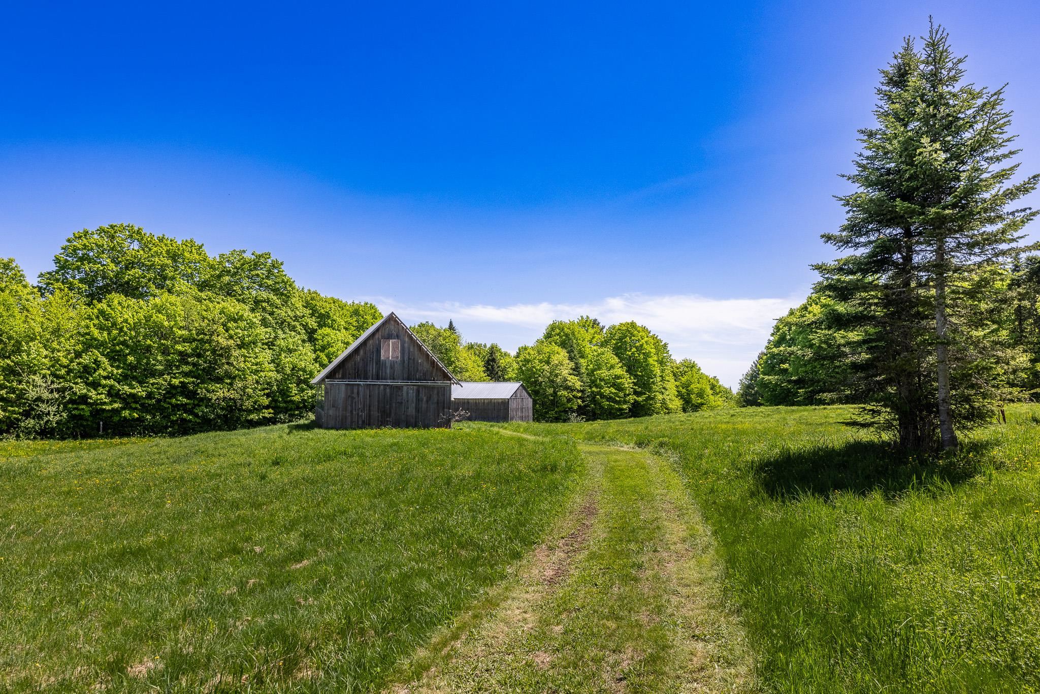 2304 Taylor Valley Road Vershire, VT 05079 - Photo 7 of 20