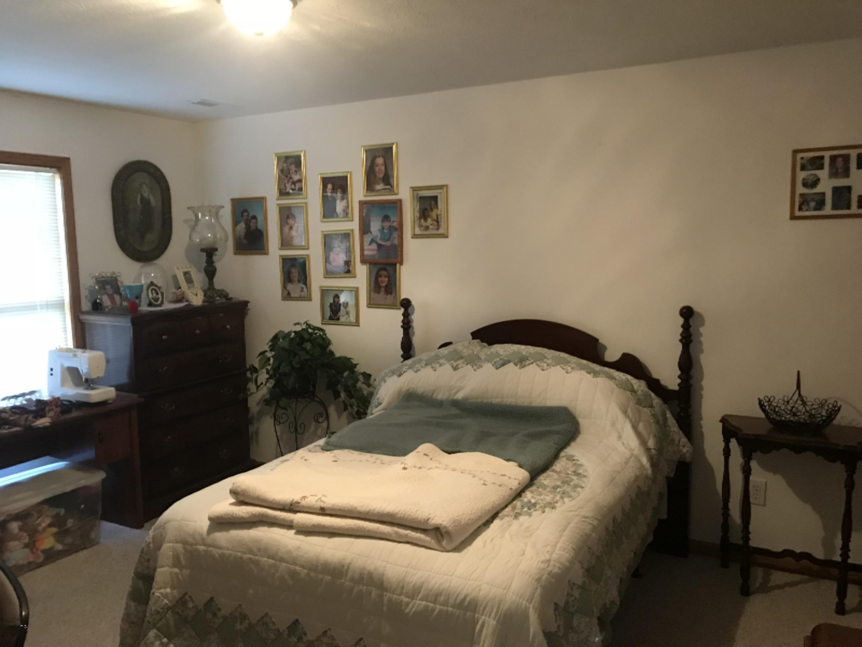 63215 Dailey Road Cassopolis, MI 49031 - Photo 5 of 7 IMG_3238 (1)