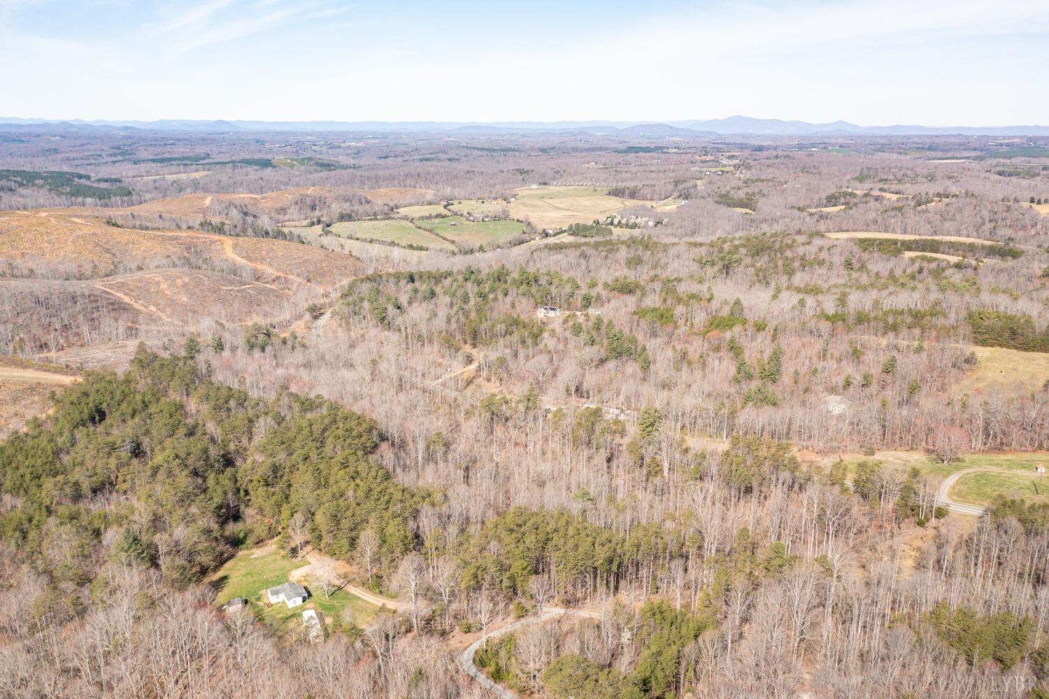 0 Truevine Road Glade Hill, VA 24092 - Photo 13 of 23 Gallery Image 13