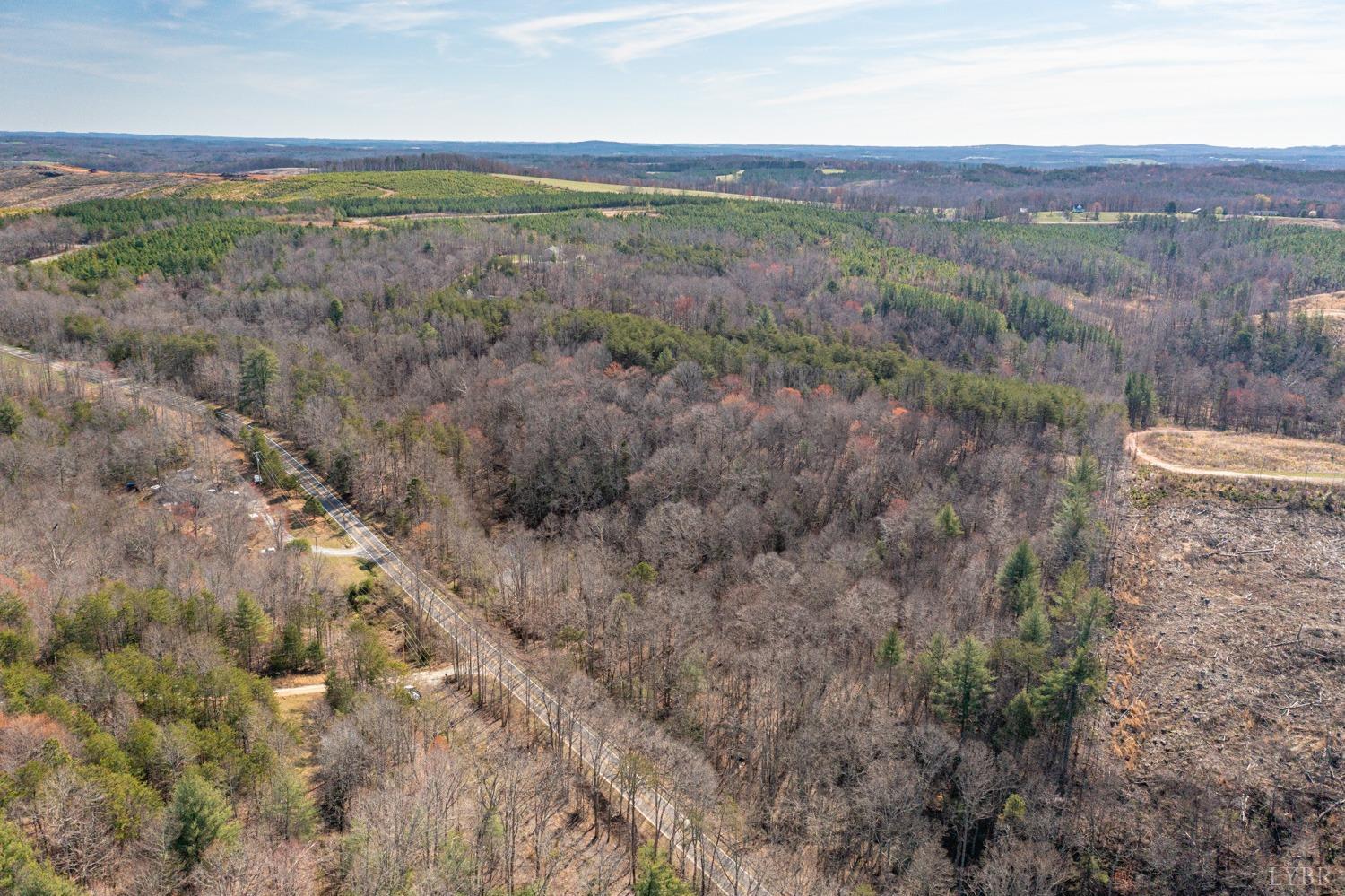 0 Truevine Road Glade Hill, VA 24092 - Photo 3 of 23 Gallery Image 3