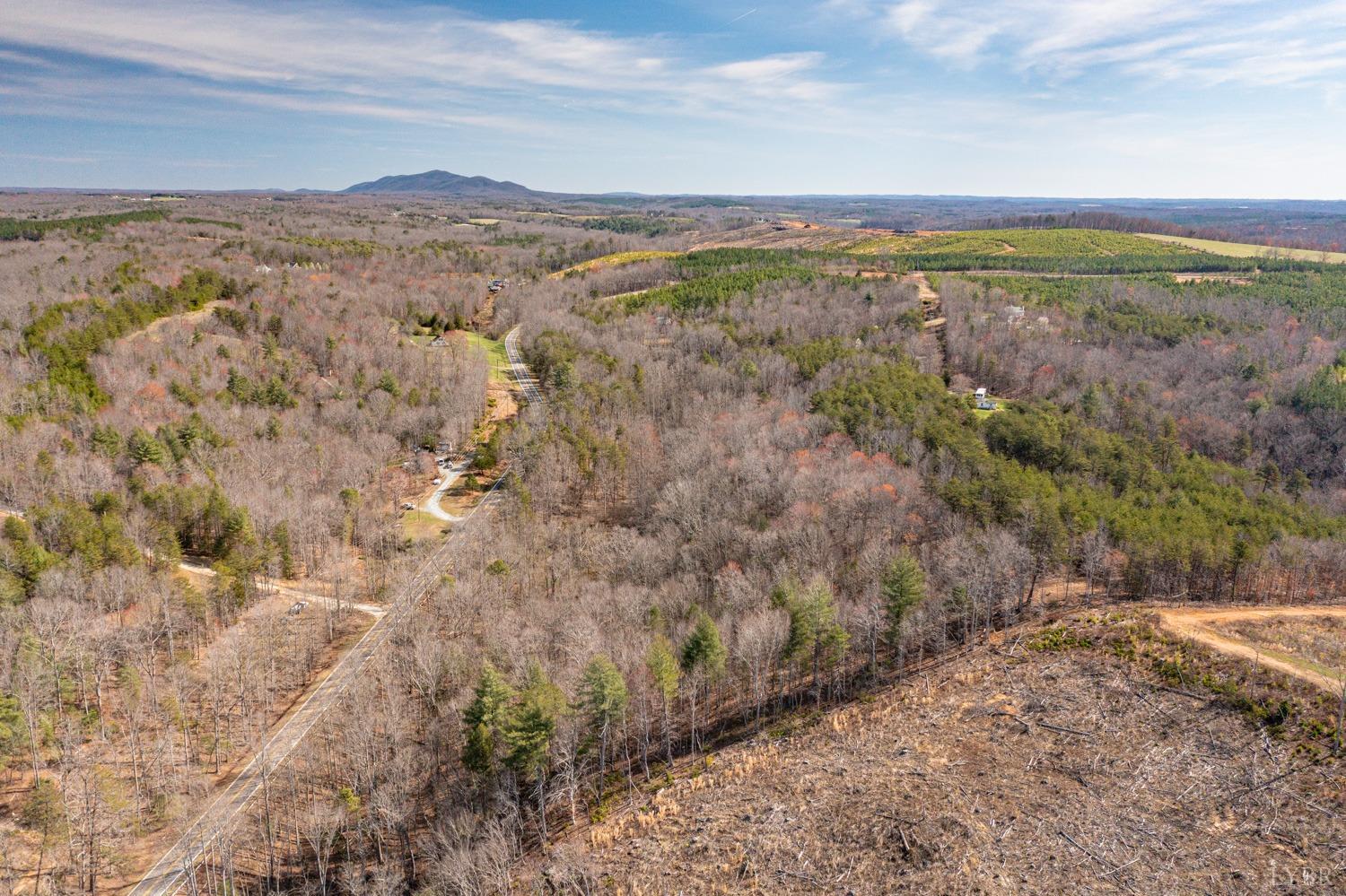 0 Truevine Road Glade Hill, VA 24092 - Photo 5 of 23 Gallery Image 5