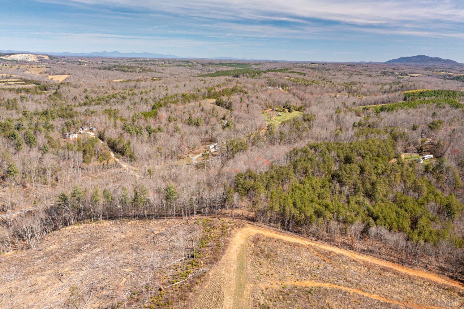 0 Truevine Road Glade Hill, VA 24092 - Photo 7 of 23 Gallery Image 7