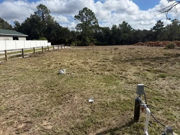 a view of open area with yard