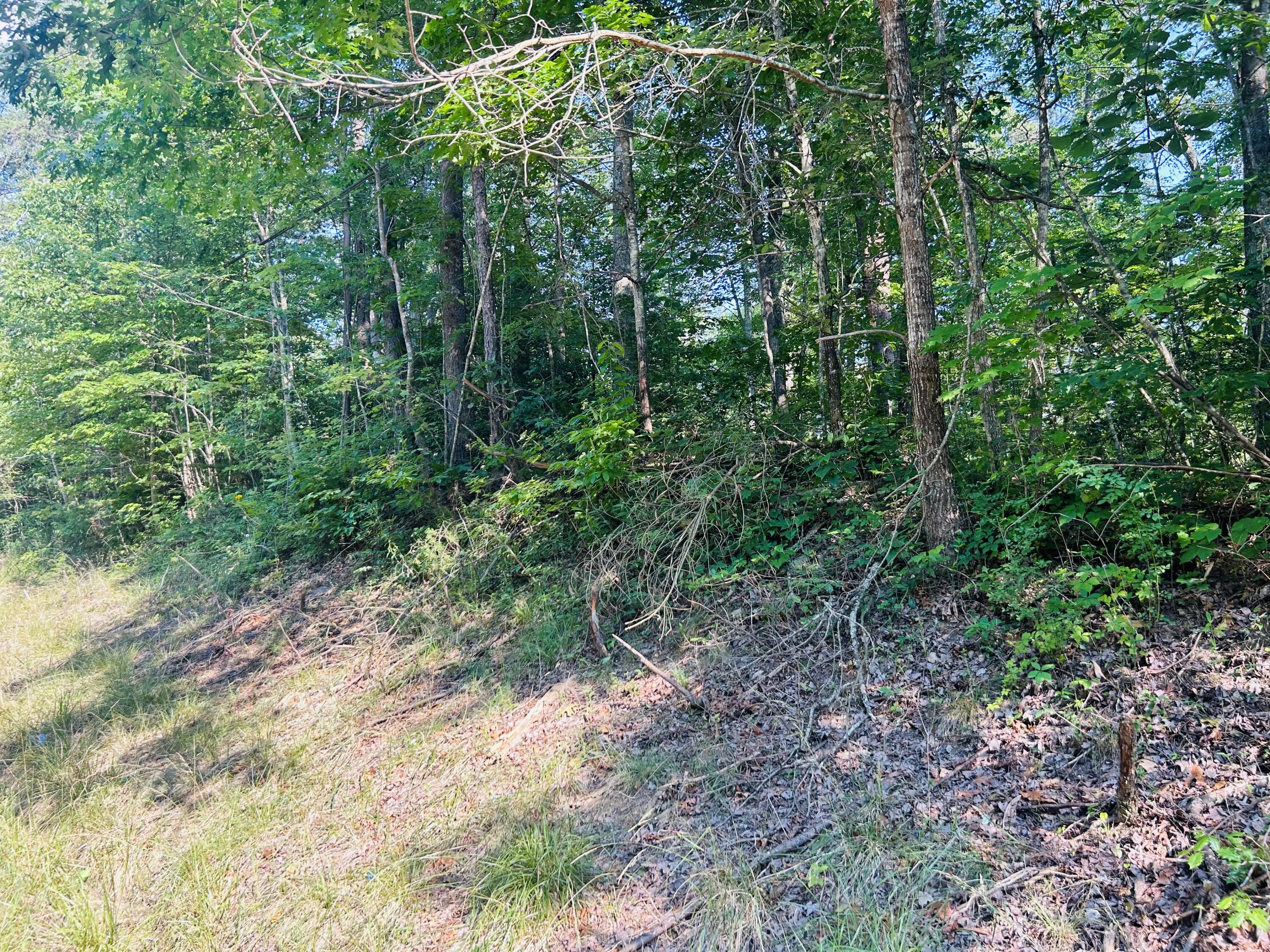 0 Somerset Road London, KY 40741 - Photo 7 of 11 096FBC6D-8260-491E-8A8F-F8D688F6A723