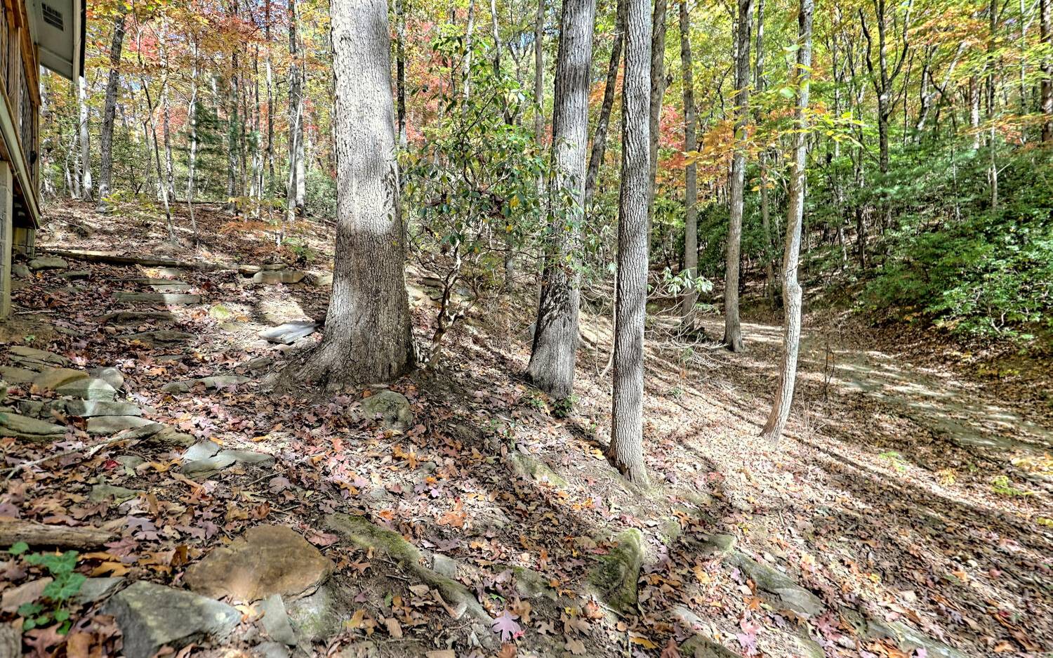 158 Trout Pond Circle Murphy, NC 28906 - Photo 34 of 37 Additional View