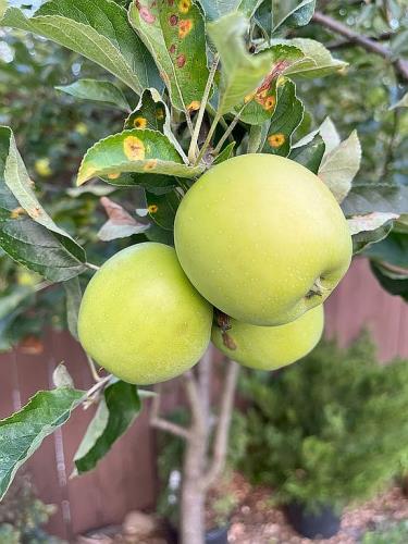 446 Princeton Avenue Hamilton, NJ 08619 - Photo 39 of 45