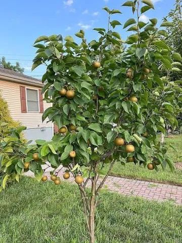 $449,000 | 446 Princeton Avenue, Hamilton, NJ 08619