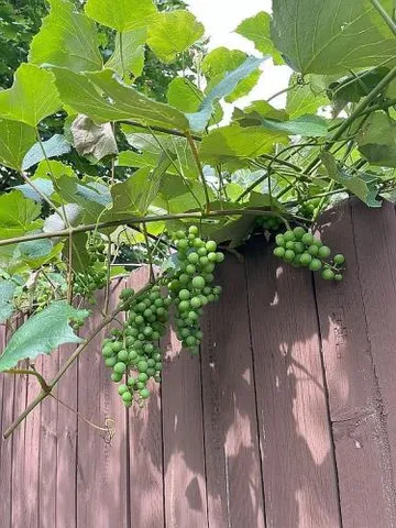 $449,000 | 446 Princeton Avenue, Hamilton, NJ 08619