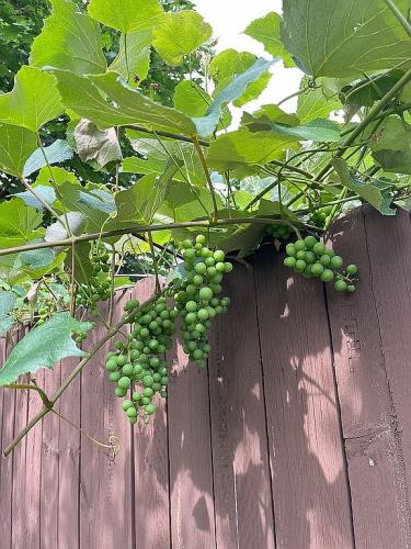 446 Princeton Avenue Hamilton, NJ 08619 - Photo 42 of 45