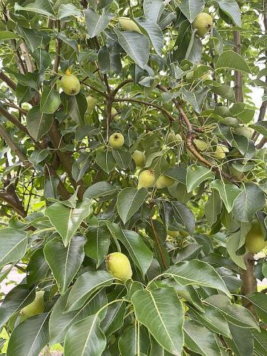 446 Princeton Avenue Hamilton, NJ 08619 - Photo 43 of 45