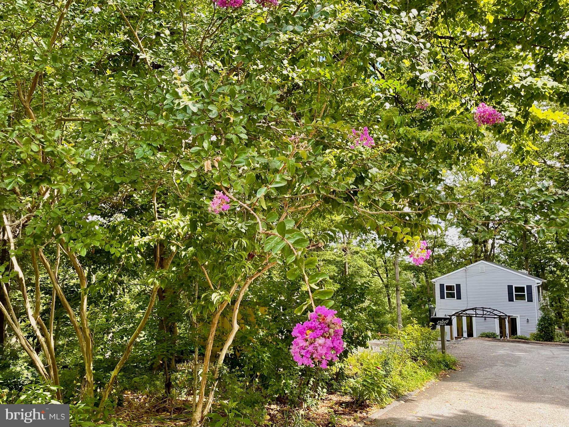 5902 Rustic Lane Elkridge, MD 21075 - Photo 57 of 65 View from Rustic Lane - very private