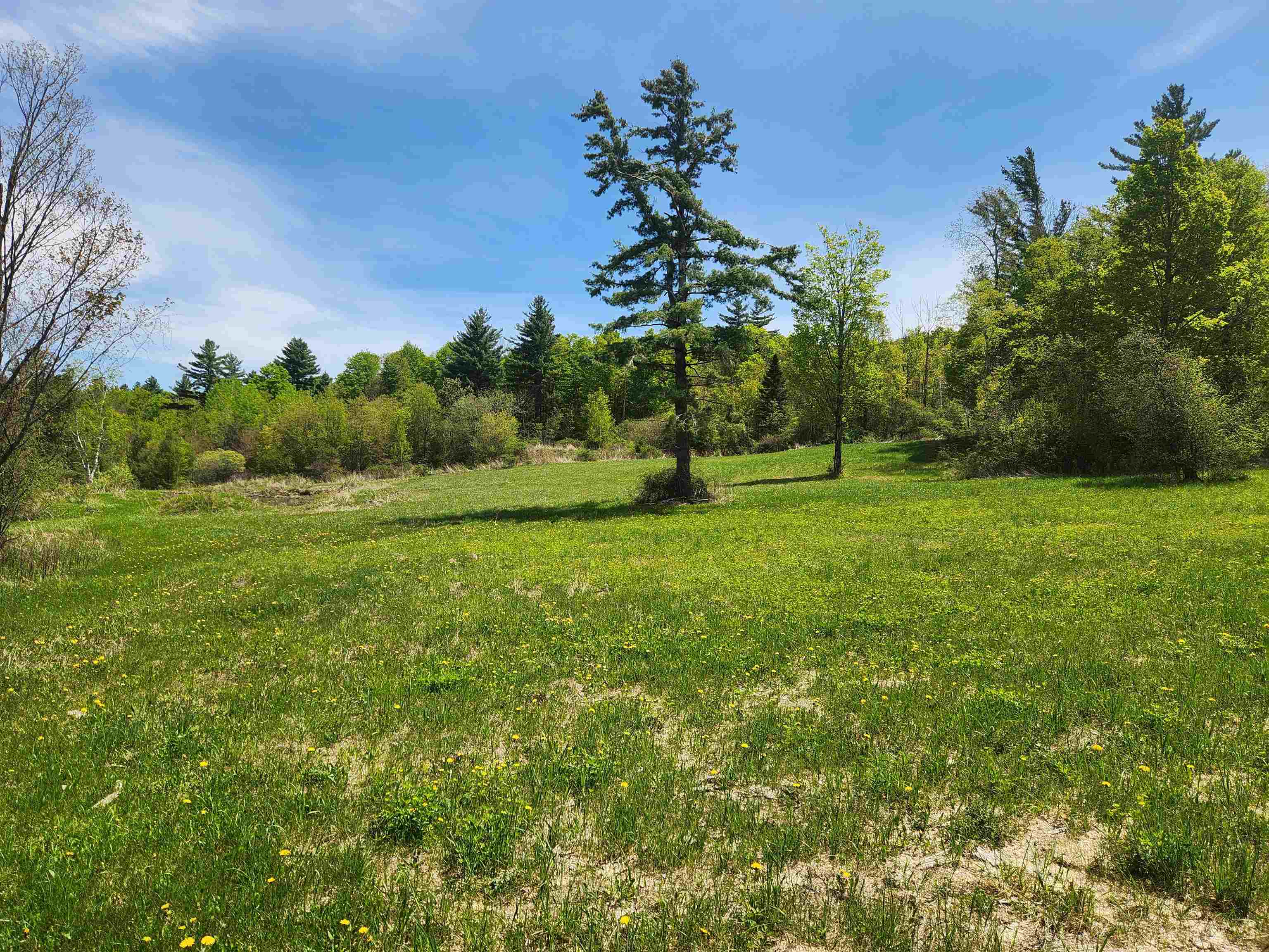 3517 Colvin Hill Road Danby, VT 05739 - Photo 21 of 25