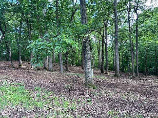 $64,500 | 41 Parc Forest Trail, Hawk Point, MO 63349