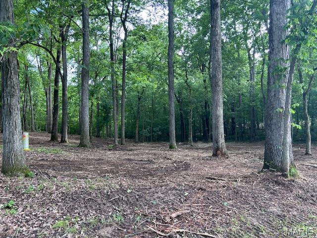 41 Parc Forest Trail Hawk Point, MO 63349 - Photo 2 of 6