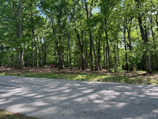 41 Parc Forest Trail Hawk Point, MO 63349 - Photo 3 of 6