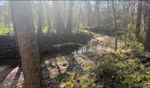 41 Parc Forest Trail Hawk Point, MO 63349 - Photo 4 of 6