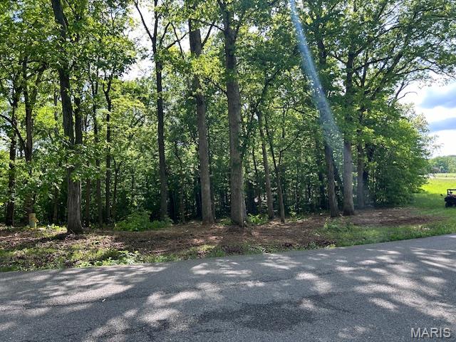 41 Parc Forest Trail Hawk Point, MO 63349 - Photo 5 of 6