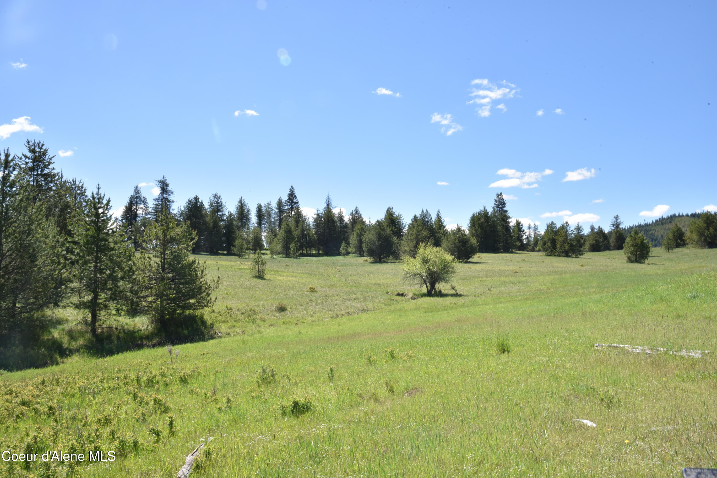Nka Nka Tyson Creek Road St. Maries, ID 83861 - Photo 24 of 26 26