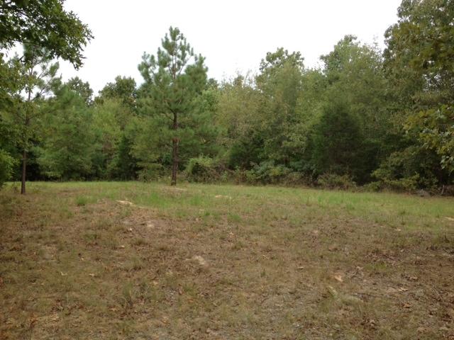 0 Humphreys Co Line Road Dickson, TN 37055 - Photo 1 of 17